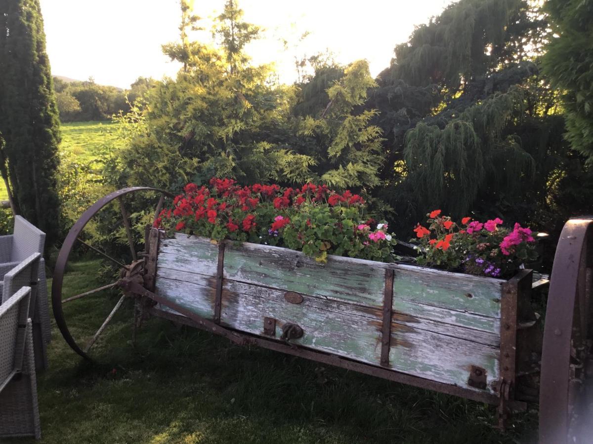 Вилла Tyddyn Perthi Farm Лланберис Экстерьер фото